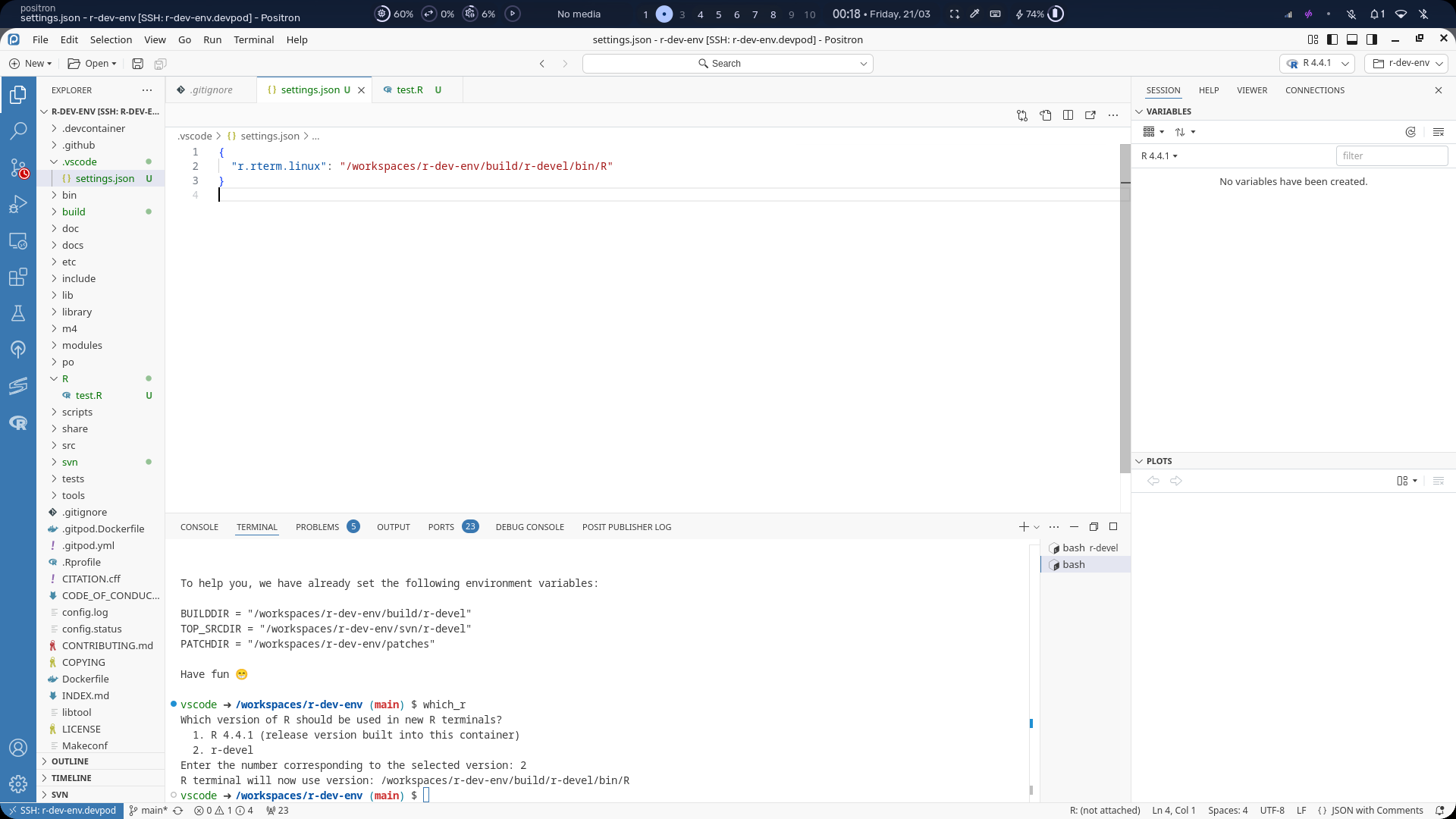devpod-positron-using-which_r